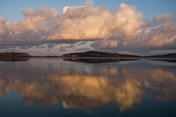 Explore the Gialova Lagoon: A Bird Paradise 2
