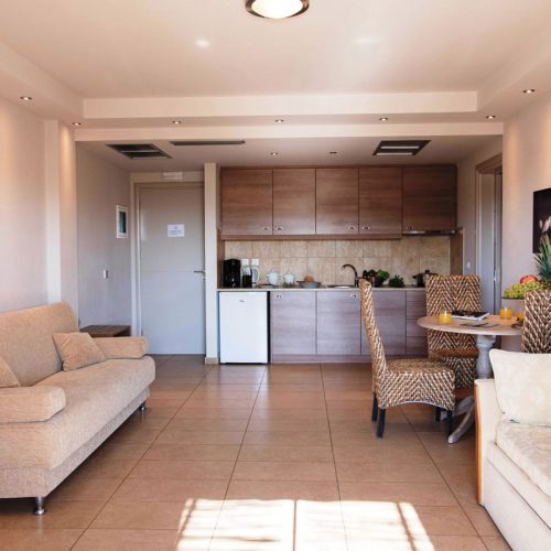 senior suite 118 120 living room 2